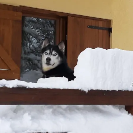 Tatil Evi Vikendica Vil